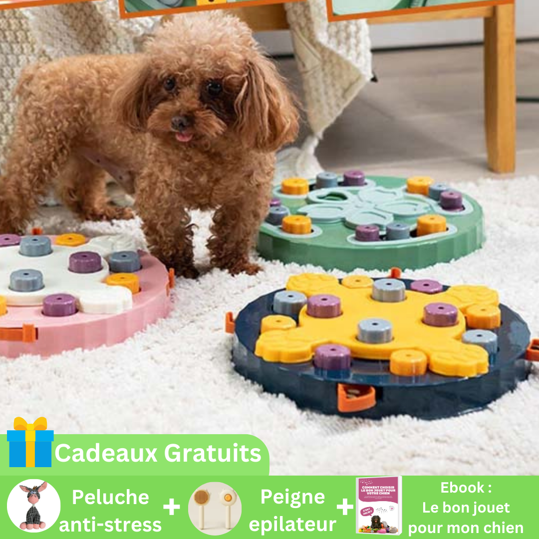 PuzzleFood™ - Puzzle interactif chien